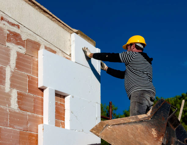 Best Specialized Insulation Services in Roma, TX