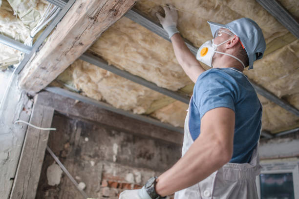 Types of Insulation We Offer in Roma, TX