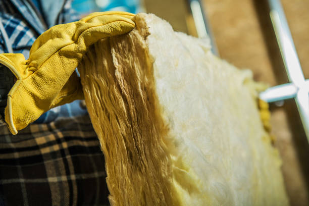 Best Fiberglass Insulation in Roma, TX