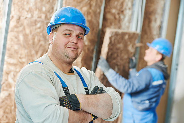 Best Spray Foam Insulation in Roma, TX