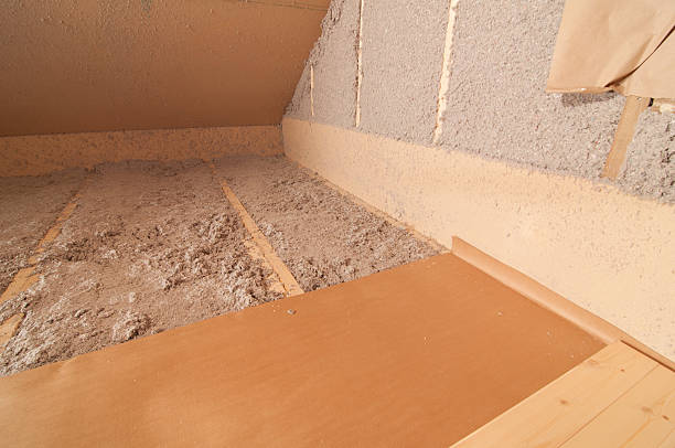 Best Energy Efficiency Insulation in Roma, TX