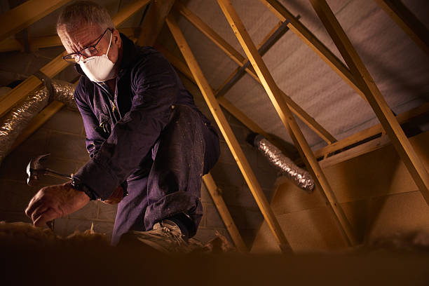 Best Cellulose Insulation in Roma, TX