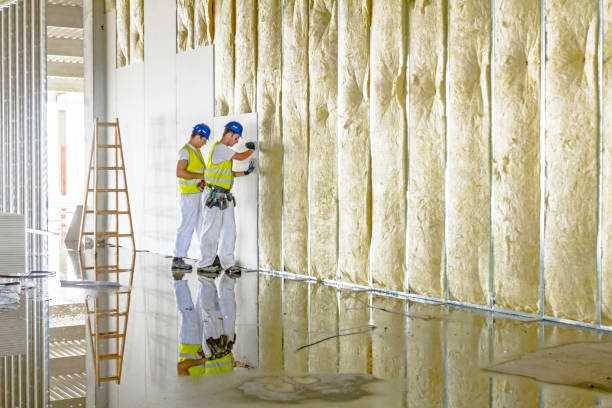 Best Insulation Maintenance and Repair in Roma, TX